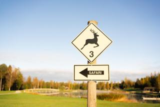 Toosikannu Nature Resort & Hotel - 1