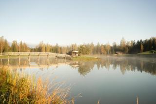 Toosikannu Nature Resort & Hotel - 1