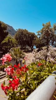 Villa Luisetta Palmi - 9