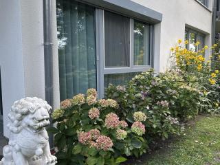 Ferienwohnung Seeperle - 5