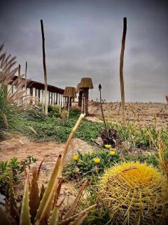 Les Bedouins Agafay - 2