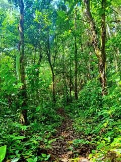 Ingaru Lodge - 2