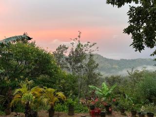 Tea Heaven Retreat - 0