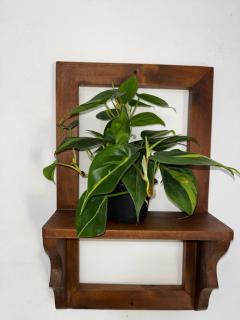 Tea Heaven Retreat - 5