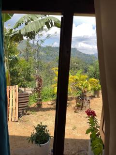 Tea Heaven Retreat - 1