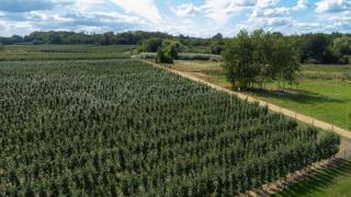 Uroczysko nad Pilicą Sauna & Balia - 5