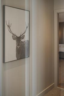 Private luxury Room -B, King bed, Full Ensuite, Free Shuttle to ski hill and Resort - 2