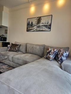 Reily Luxury Homes -1 bedroom, Syokimau near JKIA & SGR, PARK VIEW - 8