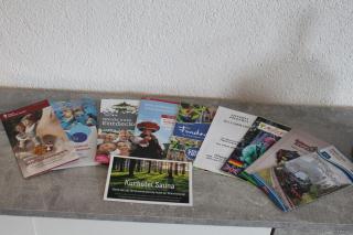 Kurhotel Schluchsee App 3307 - Schluchseestube -mit Indoorpool- privater Infrarotkabine-Schluchsee - 2