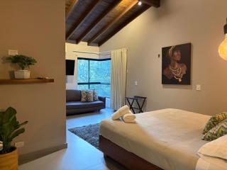 MANSION BR VILLA Piscina, Jacuzzi, 6 min de Provenza - 1