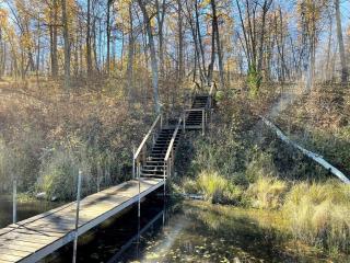 Cozy two bedroom cottage with indoor fireplace - 1