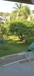 Tranquil place - London - 5