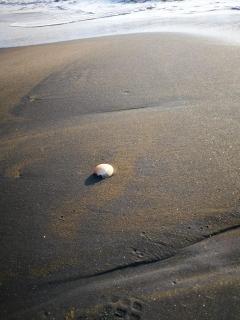 Villa Josefa en Villas Camino Real cerca de las dunas de Chachalacas - 7