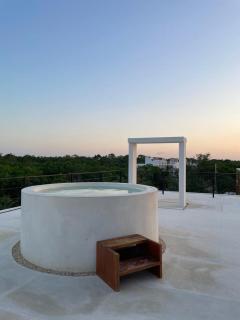 Seremonia Origen Alberca Privada - 8