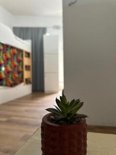 Hostel Liberdade - 1