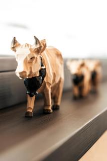 Apart Bieles NEU - Bergoase mit privater Outdoor-Sauna & Massagepraxis - 3