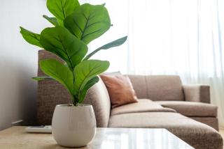 Ph In Luquillo 1 Minutes To The Beach 2beds - 2