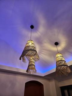 Les Volets Bleus house and spa - 7