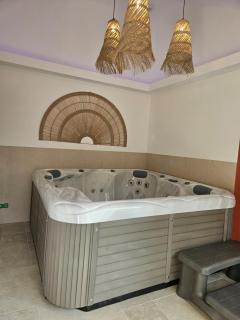 Les Volets Bleus house and spa - 1