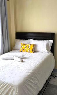 Magnolia Homes in CBD Nairobi - 5