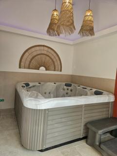 Les Volets Bleus house and spa - 8