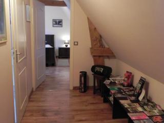 Location spacieux gîte indépendant près du centre-ville - FR-1-510-236 - 2