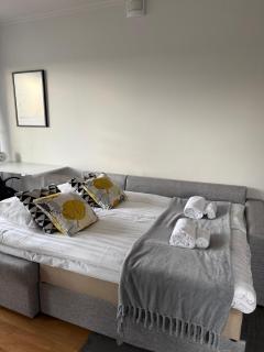 Adorable Arctic Apartments - Sauna & Free Parking - 2