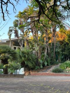 Southern Cross Guesthouse - 2