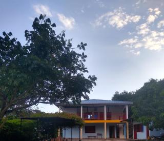 El Mirador del Mango - 0