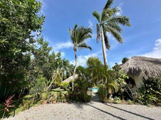 Tropical Casa Lea - 7