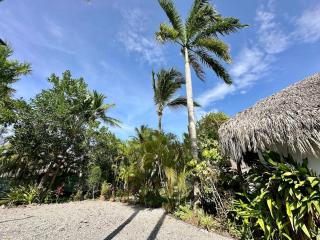 Tropical Casa Lea - 6