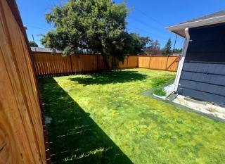 HUGE, PRIVATE, 3 BEDROOM 1 BATH NEAR PLU and JBLM - 9