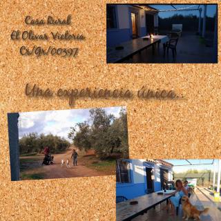 Casa Rural El Olivar Victoria - 0