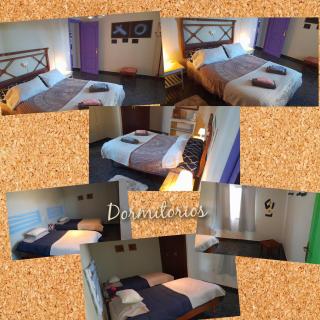 Casa Rural El Olivar Victoria - 5