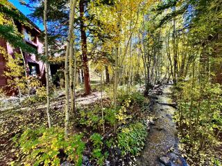 Bryant Home 1826 by SummitCove Lodging - 5