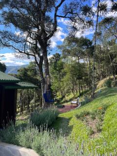 Vale Dourado Cabanas - 4