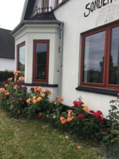 Motel Villa Søndervang 3 personers værelse - 1