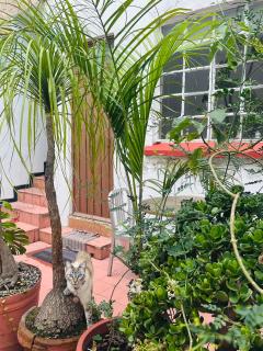 La Casita - 4