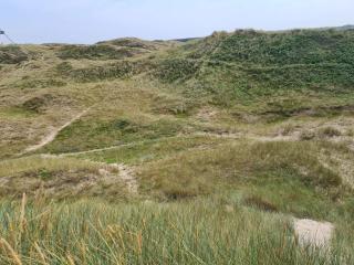 6 person holiday home in Skagen-By Traum - 7