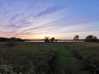 5 star holiday home in Ansager - 7