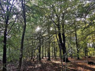 6 person holiday home in Henne-By Traum - 4