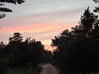 Modern Beach House - By Traum Ferienwohnungen - 3