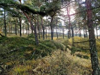 Luxury Retreat with Pool - By Traum Ferienwohnungen - 6