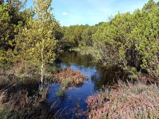 Luxury Retreat with Pool - By Traum Ferienwohnungen - 4