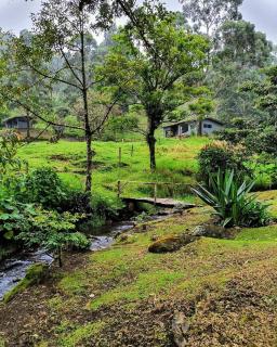 Olingo Monteverde - Studio Apartment with Jacuzzi - 3
