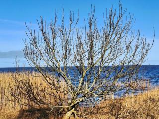 Modern Woodland Retreat-By Traum - 1