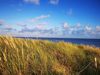 6 person holiday home in Blåvand - 4