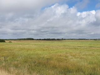 Luxury Retreat in Blavand - By Traum Ferienwohnungen - Blåvand - 5