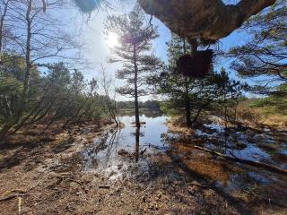 Luxury Villa with Pool - By Traum Ferienwohnungen - 3