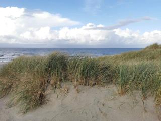 4 person holiday home in Henne - 4